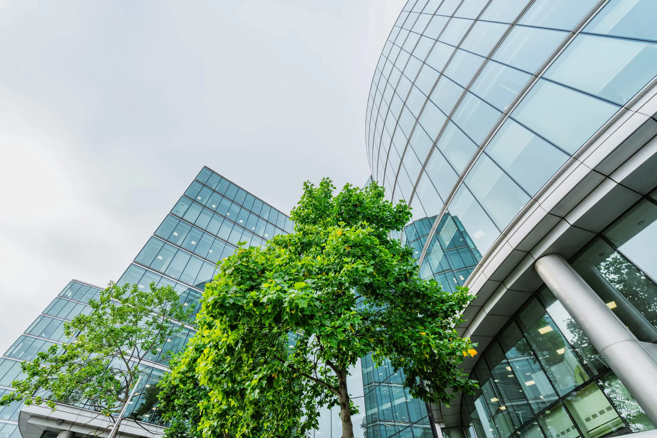 Bâtiments d’entreprise avec arbres verts