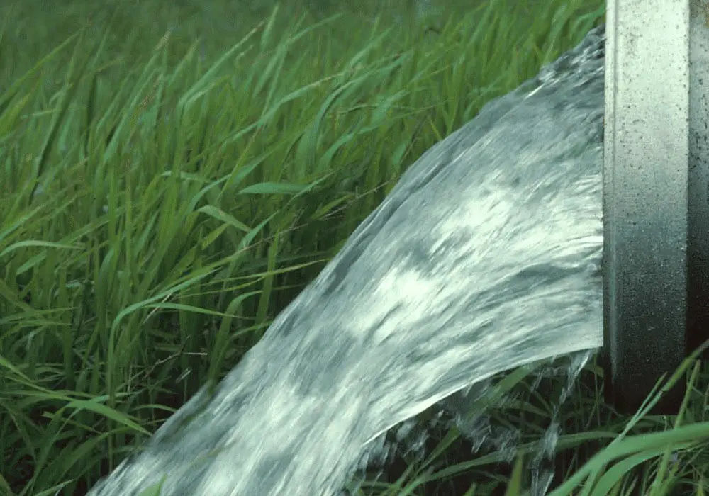 de vidange d’eau, hachée